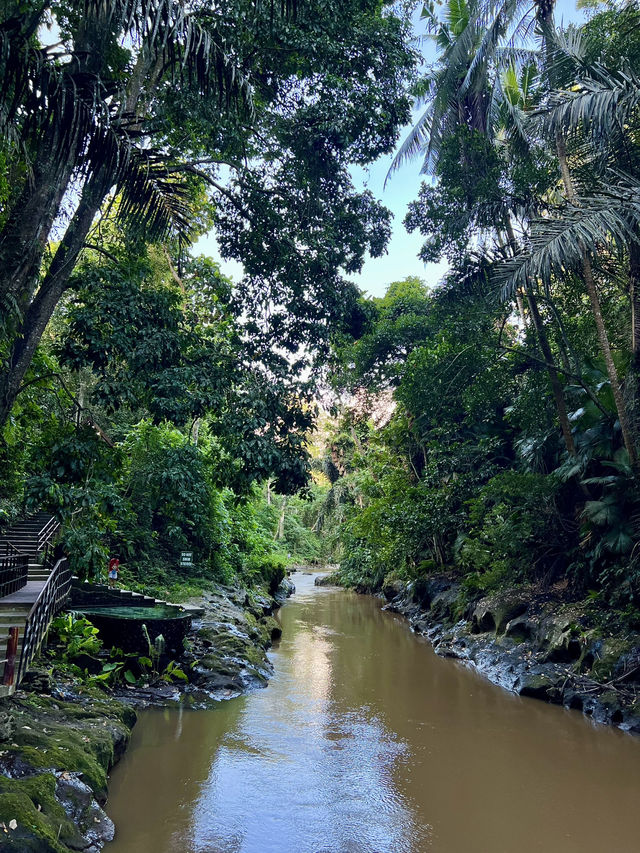 ๐ Hidden Gem in Bali โ Kemenuh Monkey River ๐ Hidden Gem in Bali โ Kemenuh Monkey River