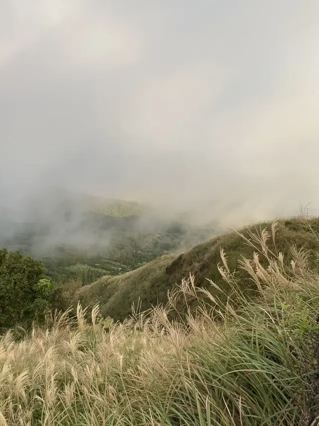 Cold Water Pit - Dream Lake: Experience the Beauty of Silver Grass and Sunset