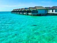 Le Méridien Maldives Resort & Spa — Where Creativity Meets Conservation