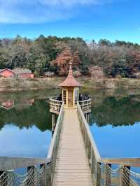 🏞️ A Whimsical Day at Moominvalley Park, Saitama