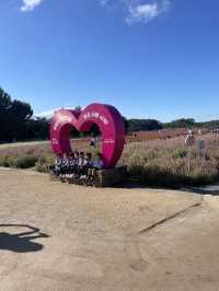 Best autumn escapes near Seoul-Nari Park in Yangju