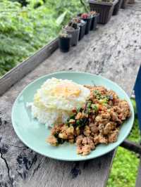 กะเพราหลักสิบ กับวิวหลักล้าน ที่กะเพราลอยฟ้า น่าน