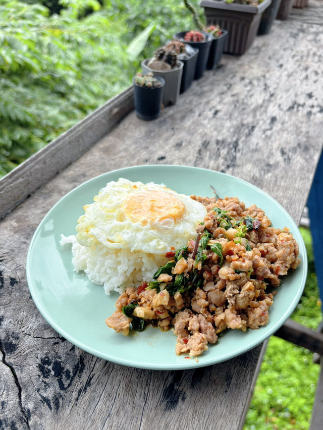 กะเพราหลักสิบ กับวิวหลักล้าน ที่กะเพราลอยฟ้า น่าน