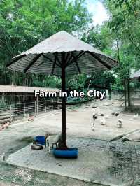 Farm In The City: An Interactive and Educational Wildlife Experience for Families 