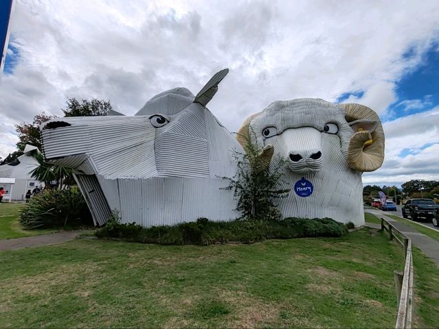 Tīrau: New Zealand's Quirky Corrugated Iron Town