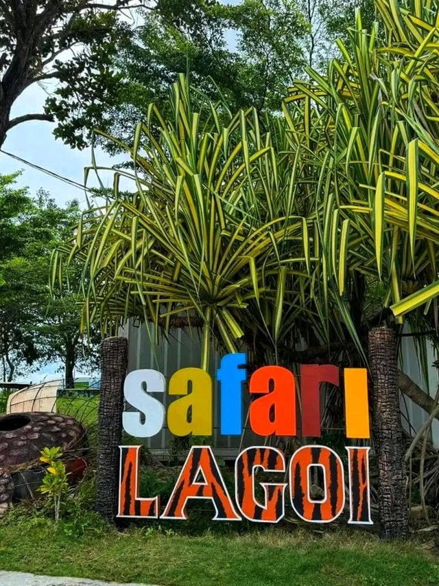 🐾 Wild Encounters in Paradise – Discover Safari Lagoi Bintan