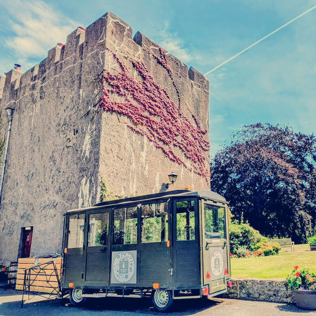 Solo Back in Time: My Day at Fonmon Castle