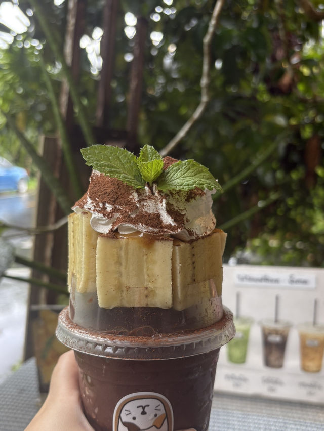 ☕🌿 “น้องแคทคาเฟ่” มุมสงบกลางฝนในอำเภอพรหมคีรี 🌧️