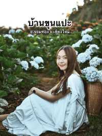 💐 บ้านขุนแปะ – หมู่บ้านกลางขุนเขา ที่มีหมอก ดอกไม้