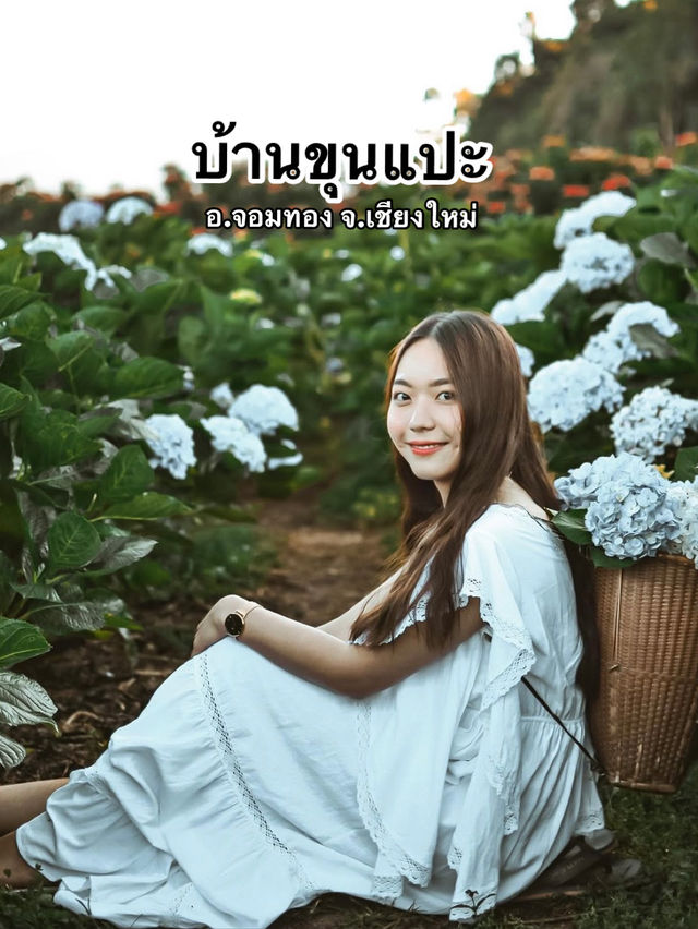 💐 บ้านขุนแปะ – หมู่บ้านกลางขุนเขา ที่มีหมอก ดอกไม้