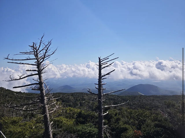 Hallasan National Park