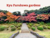 ชมใบไม้เปลี่ยนสีที่ Kyu Furukawa Gardens