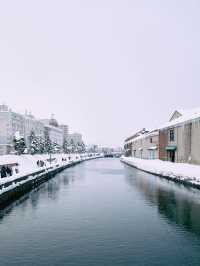 聽說札幌下雪了