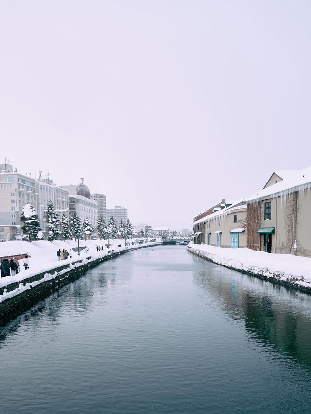 聽說札幌下雪了