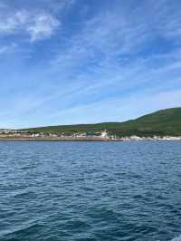 Whale Watching Magic in Husavik, Northeastern Region