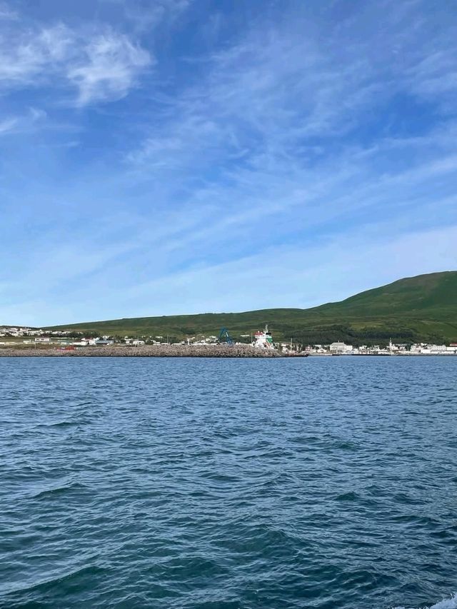 Whale Watching Magic in Husavik, Northeastern Region Whale Watching Magic in Husavik, Northeastern Region