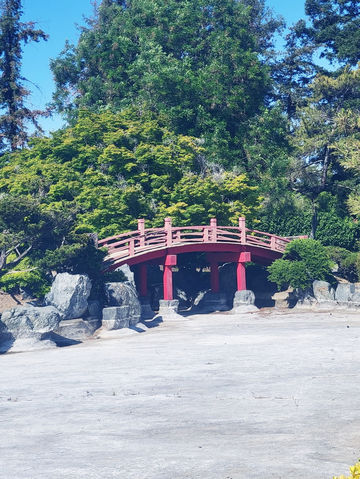 The Soloist's Urban Oasis: Japanese Friendship Garden of San Jose