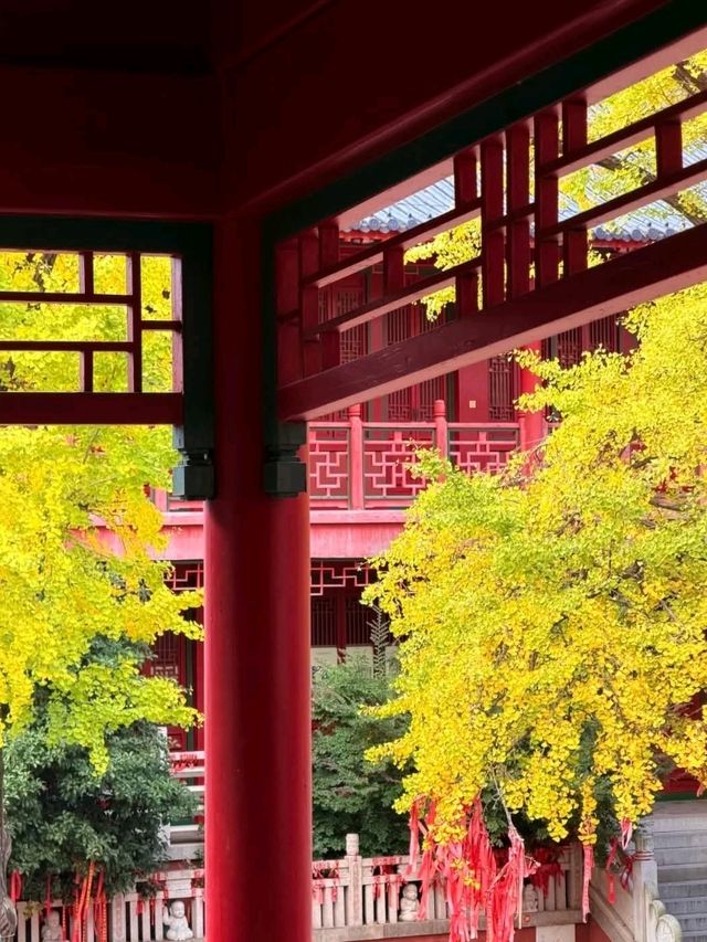 “Whispers of Serenity: The Zen Paradise of Nanjing”