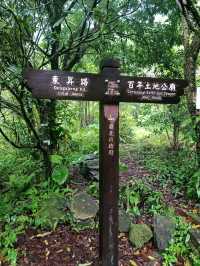 草山觀瀑吊橋：身臨瀑布的療癒秘境