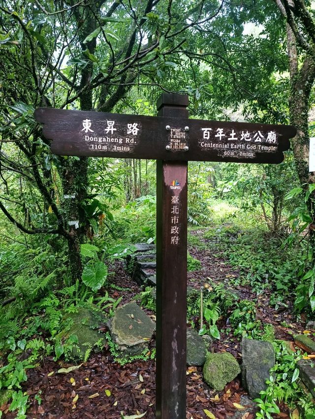 草山觀瀑吊橋：身臨瀑布的療癒秘境