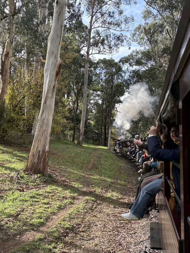 Australia’s Dreamy Adventures: Gold Coast Thrills & Melbourne Views 🏖️🌆