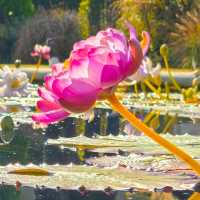 ์ ์ฃผ์๋ชฉ์์ด ์ด๋ ๊ฒ ์ด์๋ค๊ณ ?