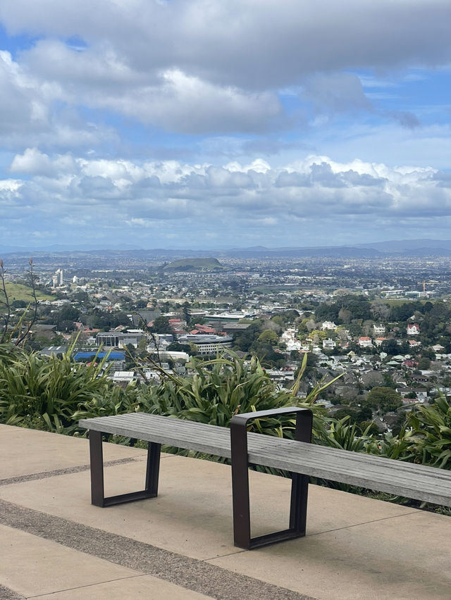 Urban Nature Spot🌳 Urban Nature Spot🌳