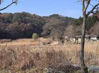 Sangdang Sanseong Fortress 상당산성