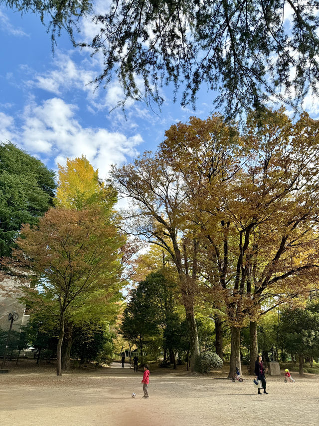 A Hidden Autumn Retreat in the Heart of Azabu A Hidden Autumn Retreat in the Heart of Azabu