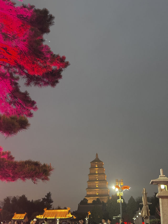 日落雲霧裡的貓影西安 日落雲霧裡的貓影西安