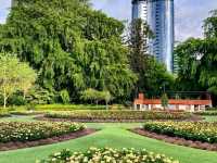 Beautiful park excellent for walking, nature, birdwatching and relaxing. Not many flowers more landscapes and beautiful trees.