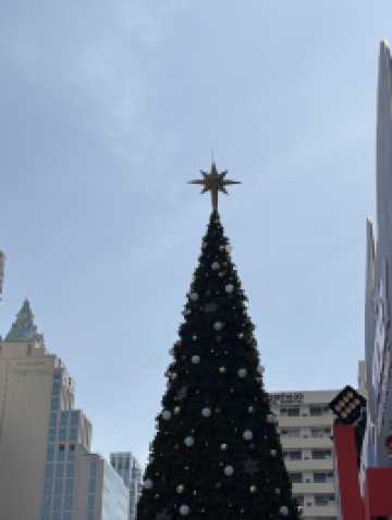 งานคริสต์มาสเซนทรัลเวิลด์2025🎄⭐️✨