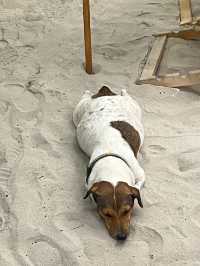 แจกแพลนเที่ยวเกาะล้าน1วัน 🏝️✨