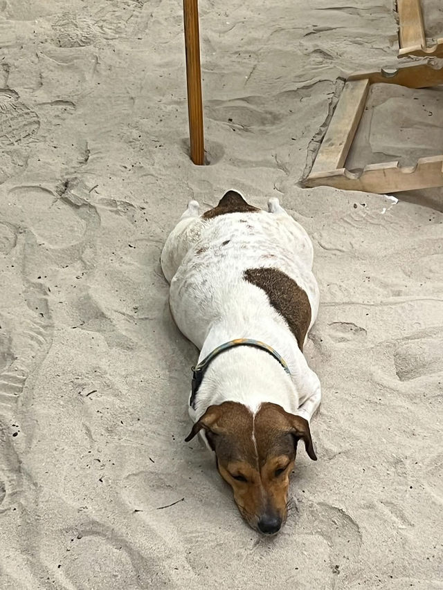 แจกแพลนเที่ยวเกาะล้าน1วัน 🏝️✨