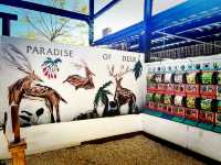 Scenic Festive Outing at Paradise Of Deer