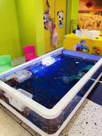 親子寵物樂園治癒一日遊🐰