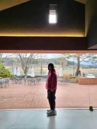 한옥마을과 힙한 mz감성이 함께하는 경주데이트코스