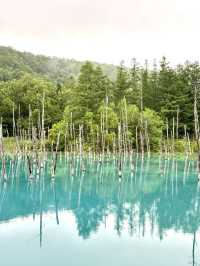 美瑛必訪：白金青池與白鬚瀑布，大自然神奇與夢幻