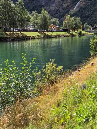 🌿 Voss | Wildflowers Along the Norway in a Nutshell Journey