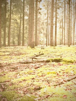 フランゴカステロと崖に苔生すヴェネツィアの要塞：スファキア平原の城