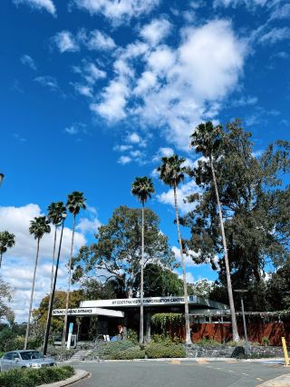My Green Escape Above Brisbane — Mt Coot-tha Botanic Gardens Is a Hidden Gem