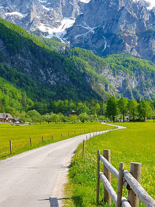 Slovenia’s Secret Alpine Paradise: Logar Valley Unlocked 🌲✨