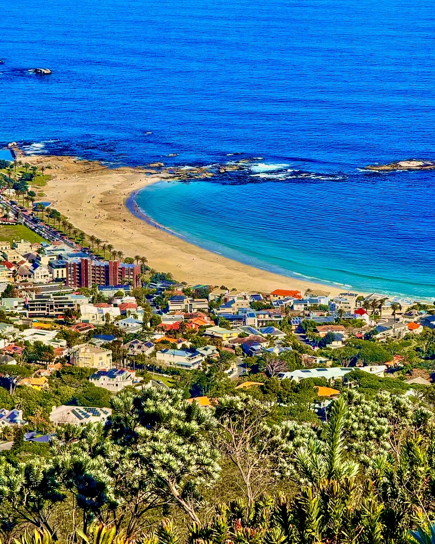 Top Local Spots Around Cape Town🏖️🐧