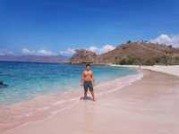 Pink sand Beach 🏖 near Komodo island 🏝 
