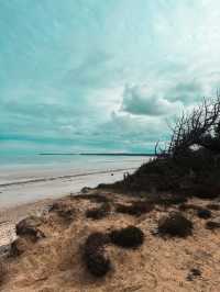 Picturesque Roseisle Beach, Scotland🏝️🏴󠁧󠁢󠁳󠁣󠁴󠁿