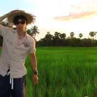 Rice farms
