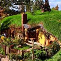 For LoR fans: Hobbiton is a must!