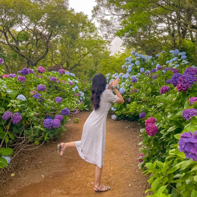 제주도 스누피 가든 탐방기🫠
