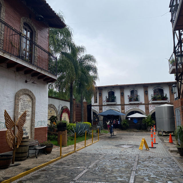 墨西哥-Tequila小鎮龍舌蘭酒廠之旅