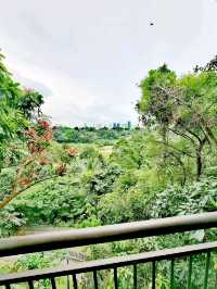 肯特崗公園